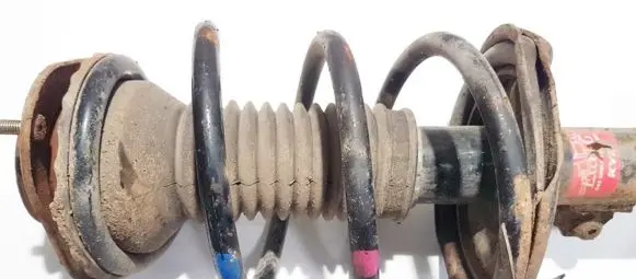 Front coil spring