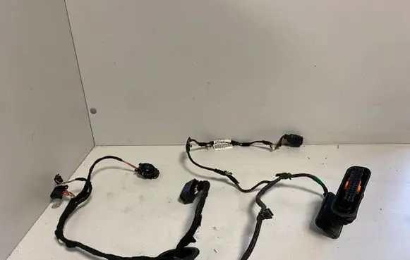 Volkswagen Jetta V Rear door wiring loom 1K5971693AK