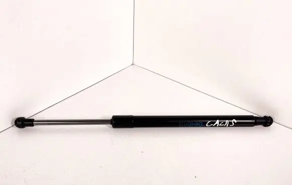 Tailgate/trunk strut/damper