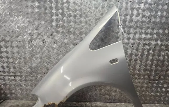 Seat Alhambra (Mk1) Fender