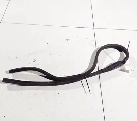 Ford Focus C-MAX Rubber seal front coupe door 