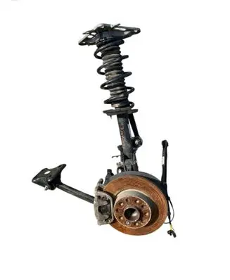 Jeep Compass Rear shock absorber/damper 00521641720