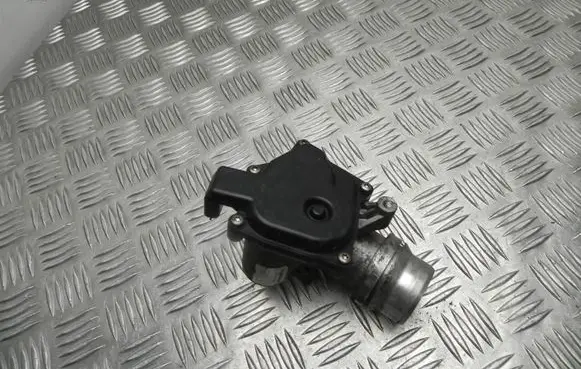 Throttle body valve