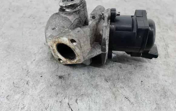Peugeot 307 EGR valve