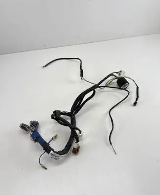 Nissan Elgrand Wiring harness B5851WL000