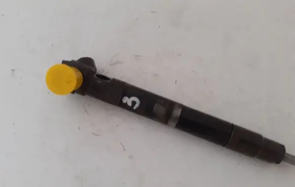 Mercedes-Benz Sprinter W906 Fuel injector 28342997 A6510704987