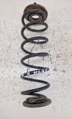 Rear coil spring