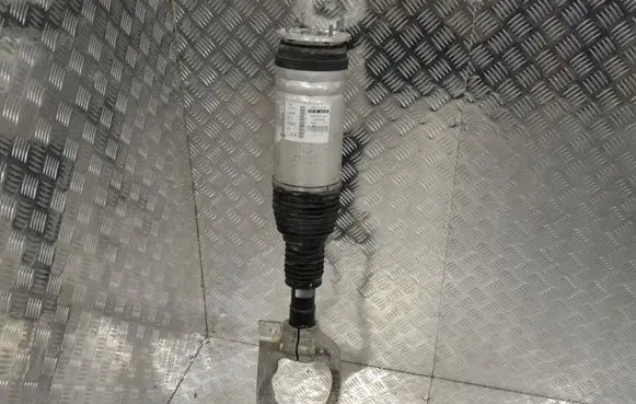 Land Rover Range Rover Sport L494 Air suspension front shock absorber DPLA3C286BF