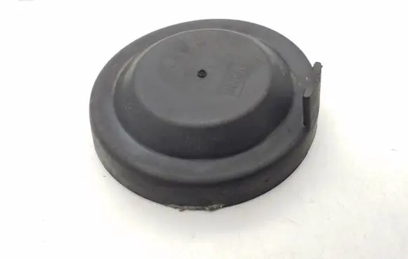 Volkswagen PASSAT B6 Headlight/headlamp dust cover 88204115