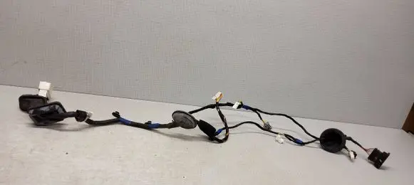 Hyundai Sonata Front door wiring loom 04120616