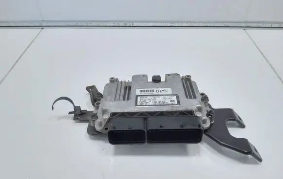 Hyundai i40 Engine control unit/module 391202A205