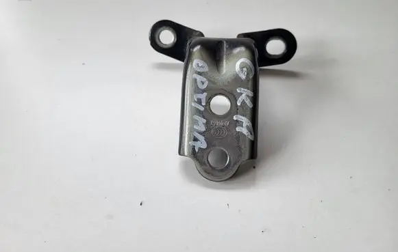 KIA Optima Rear door lower hinge