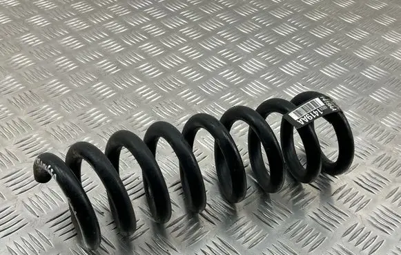 Rear coil spring