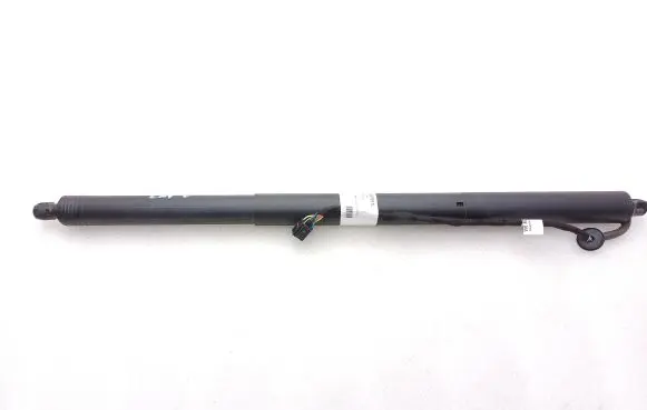 Tailgate strut