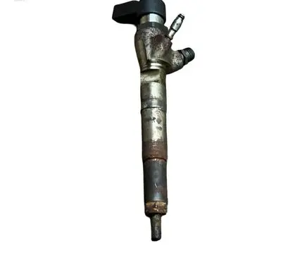 Nissan Juke I F15 Fuel injector H8201100113 166006212R