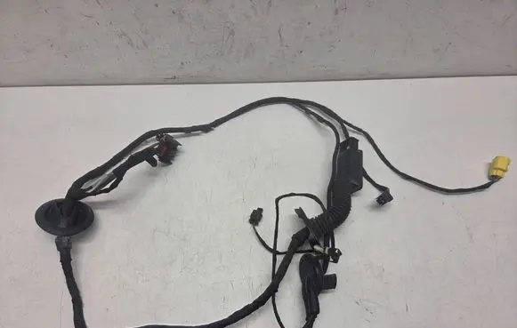 Audi S5 Front door wiring loom 31072009 8T8971030R TAB010766Q