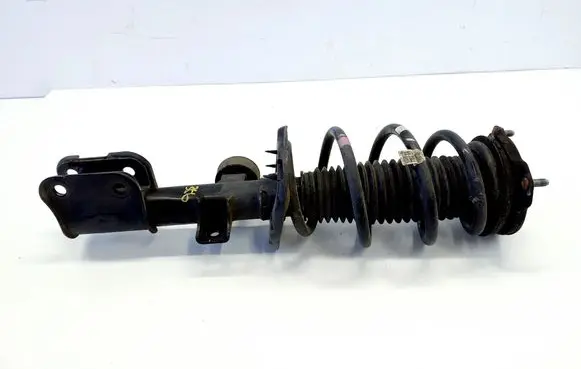 Hyundai Santa Fe Front shock absorber/damper 54651S1BA0