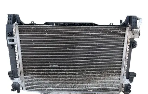 Mercedes-Benz B W245 Coolant radiator A1695000503 A1695000754 R8181001