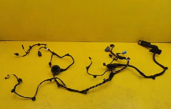 Audi R8 4S Rear door wiring loom 4L0971841