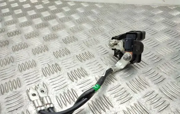 Toyota RAV 4 (XA50) Battery relay fuse 8216542120