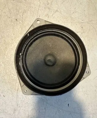 Rear door speaker