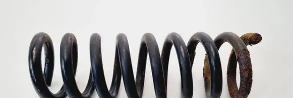 Mercedes-Benz C W203 Rear coil spring