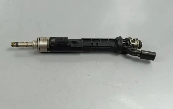 Nissan Qashqai J12 Fuel injector 166005550R