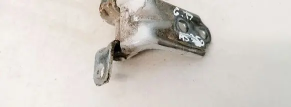 Rear door lower hinge