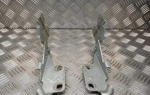 Renault Laguna II Engine bonnet/hood hinges 418248G 418249G