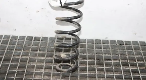 Skoda Octavia Mk3 (5E) Rear coil spring