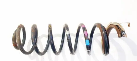 Rear coil spring
