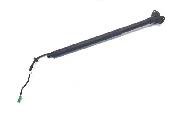 Tailgate strut