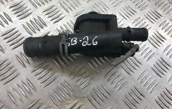 Thermostat/thermostat housing