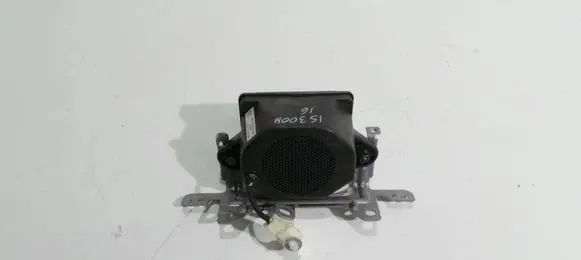 Panel speaker