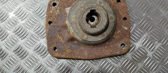 Coil spring mount