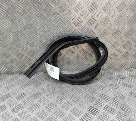 Aston Martin DB11 Rubber seal front coupe door KY53L25325AA