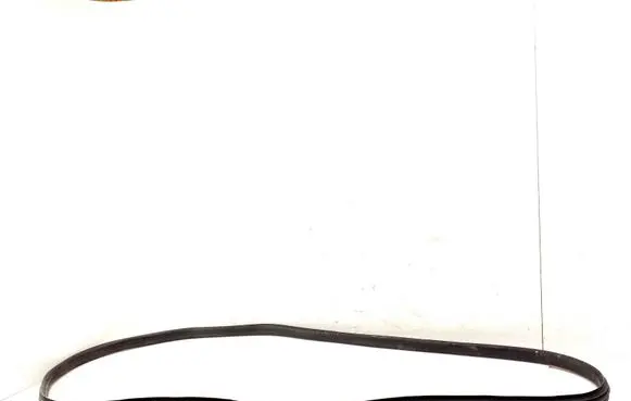 Renault Zoe Rubber seal front coupe door 