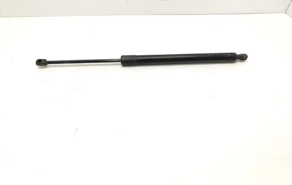 Tailgate/trunk strut/damper