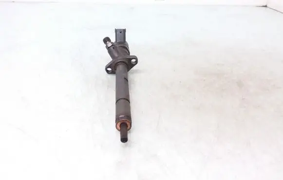 Citroen C5 Fuel injector 9637277980 0445110036