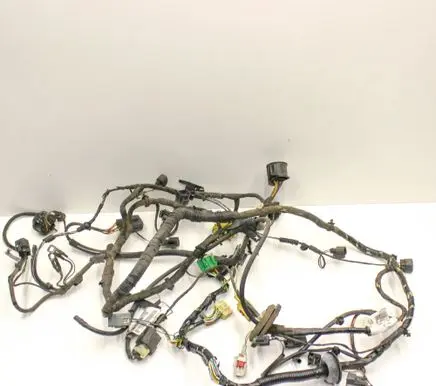 Other wiring loom