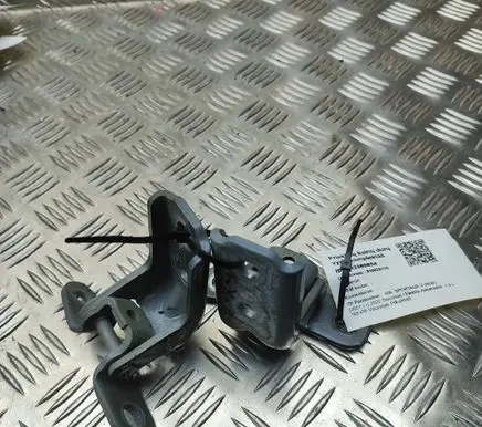 KIA Sportage Front door hinges set 76003R2000 793102V000