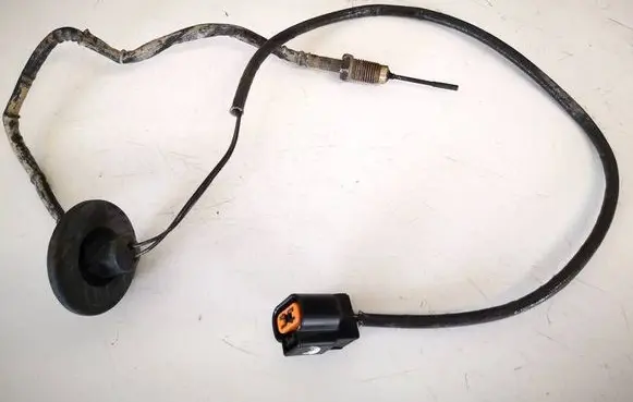 Peugeot 4007 Exhaust gas temperature sensor 