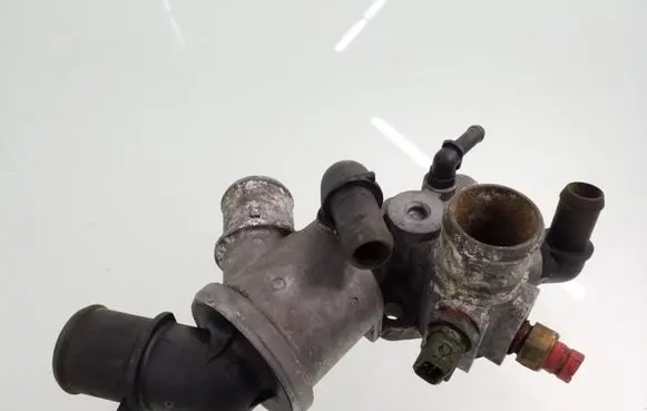 Thermostat/thermostat housing