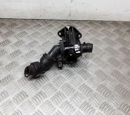 Thermostat/thermostat housing