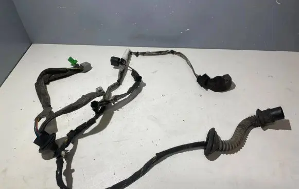 Volvo S80 Rear door wiring loom 8697915