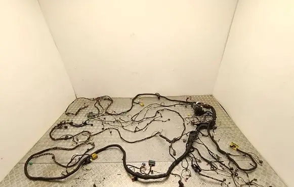 Skoda Enyaq iV Wiring harness