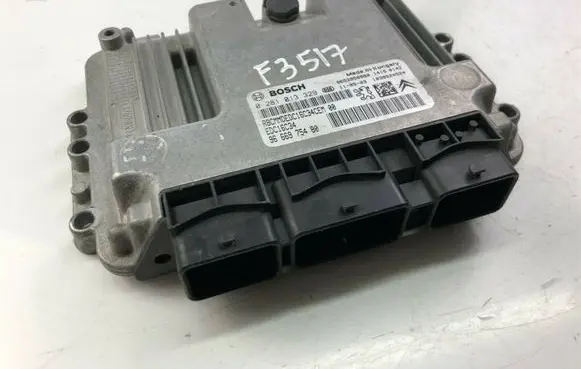 Peugeot Partner Other control units/modules 9666975480 F3517