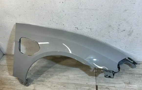 Porsche Taycan 9J1 Fender