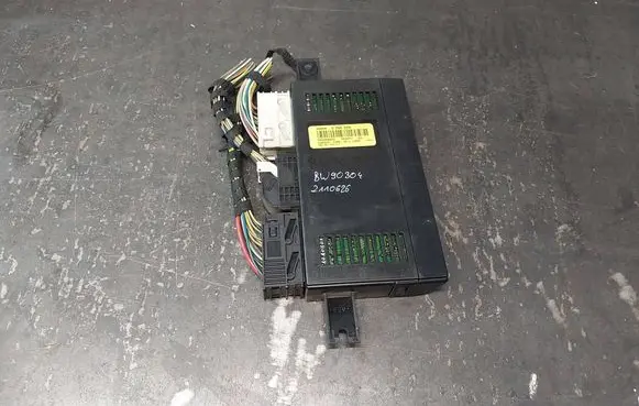 BMW 5 E39 Light module LCM 8386208