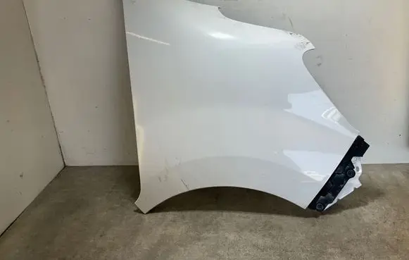 Fender